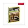 Cubic Fun - Puzzle 3D si Brosura-Parcul Dinozaurilor 43 Piese Cubic Fun - 4